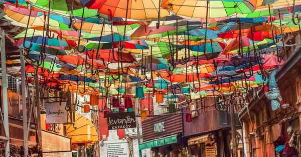 宠物AI识别产品介绍（宠物AI识别产品介绍文案）