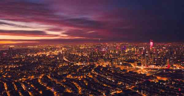 外国语单招大数据的行业文章