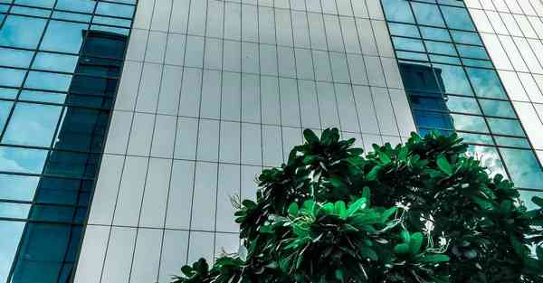 外国语单招大数据的行业文章