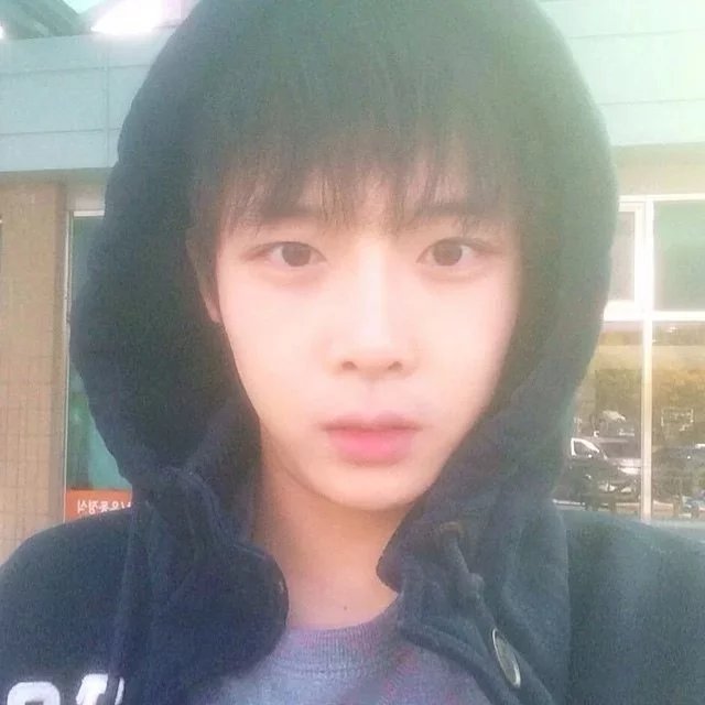 阮飘蓓玛