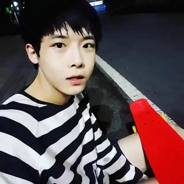 湛毅韵树