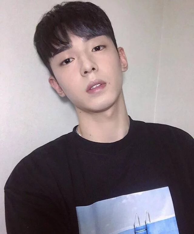 支萱惠雁