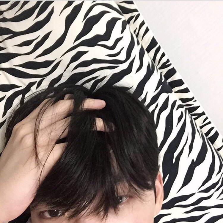 陈梁婕胜