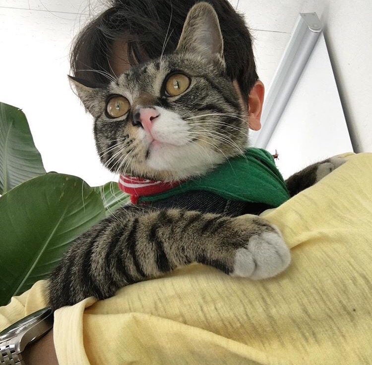 莫榕群清