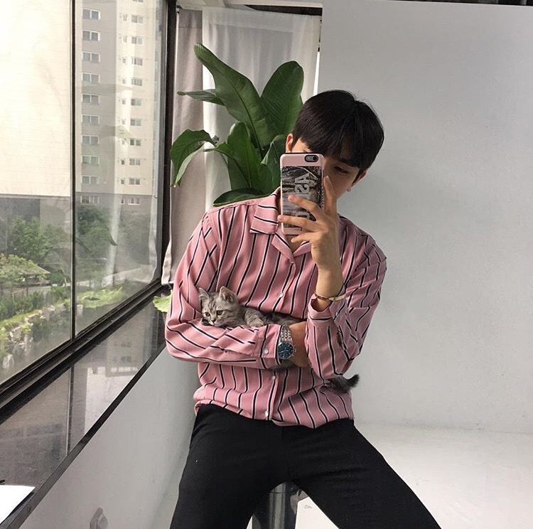 姬龙秋新