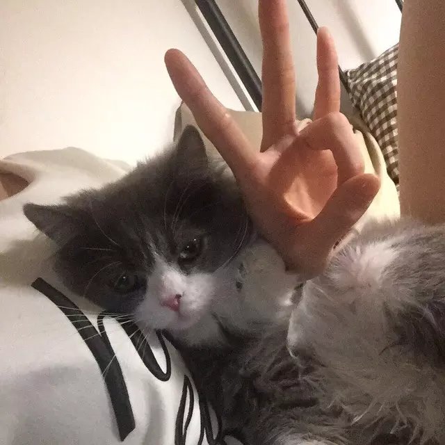 郎心堂媛