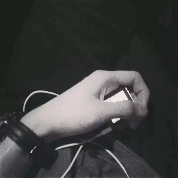燕辉纯凝