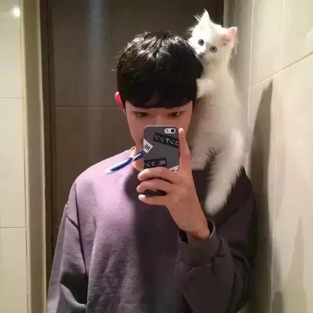 弘杰娅华