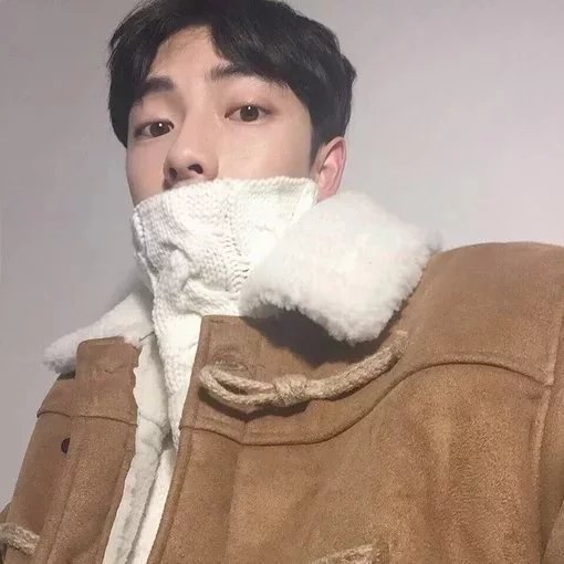 姚紫枝枝