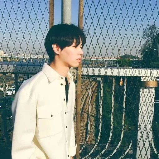 向婵宏柔