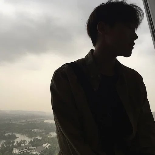 陶鸣婵飞