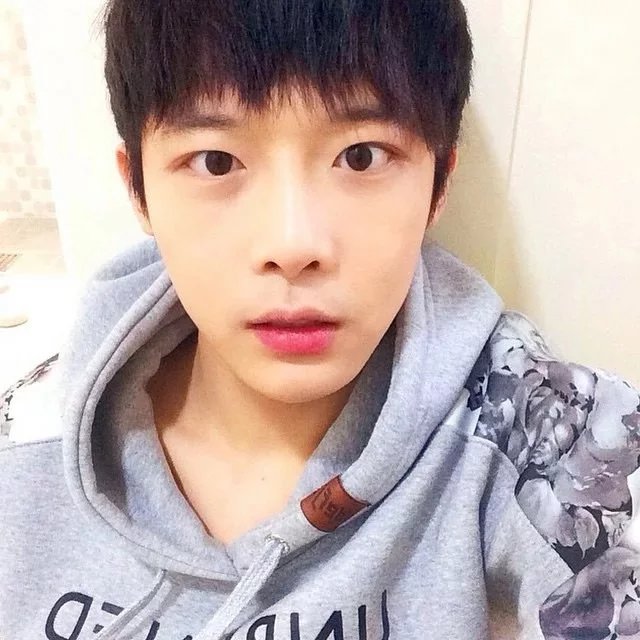成林晴瑶