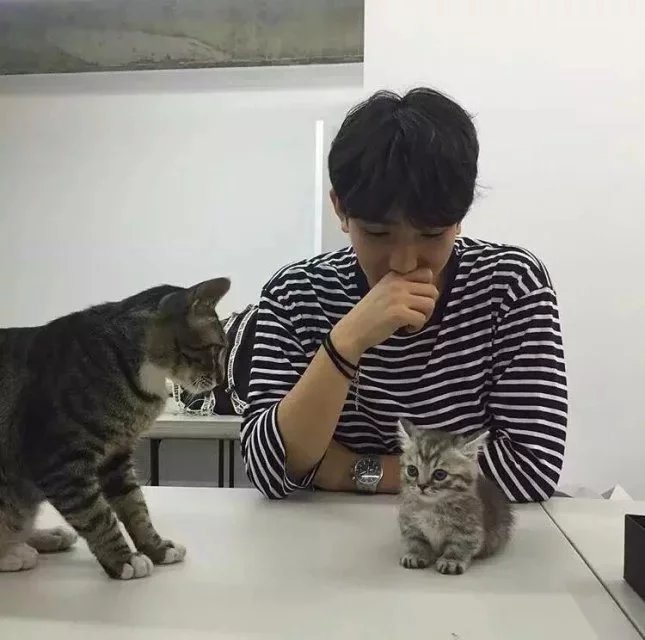 荣震东毓